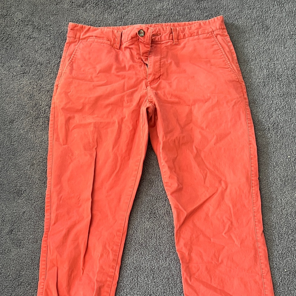 paddington chino pants
